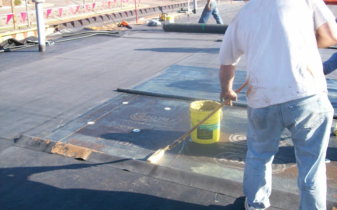 TPO Roofing Contractor in Minneapolis